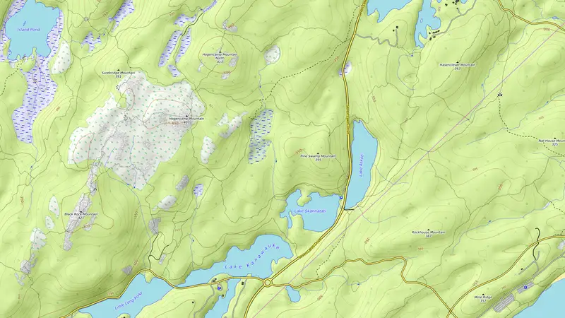 Topographic map of Lake Skannatati Loop
