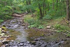 The headwaters of the Esopus Creek below Giant Ledge