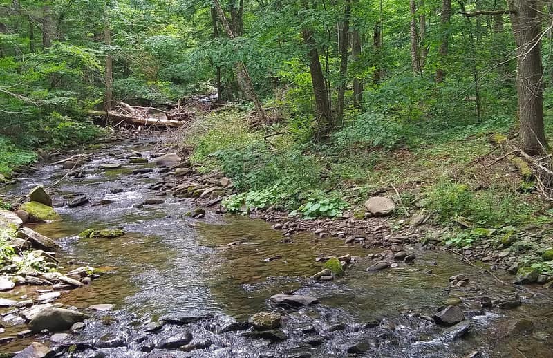 The headwaters of the Esopus Creek below Giant Ledge