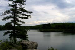Pine Meadow Lake