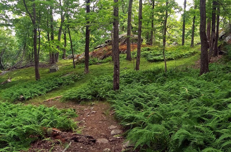 The Ramapo-Dunderberg Trail on Black Rock